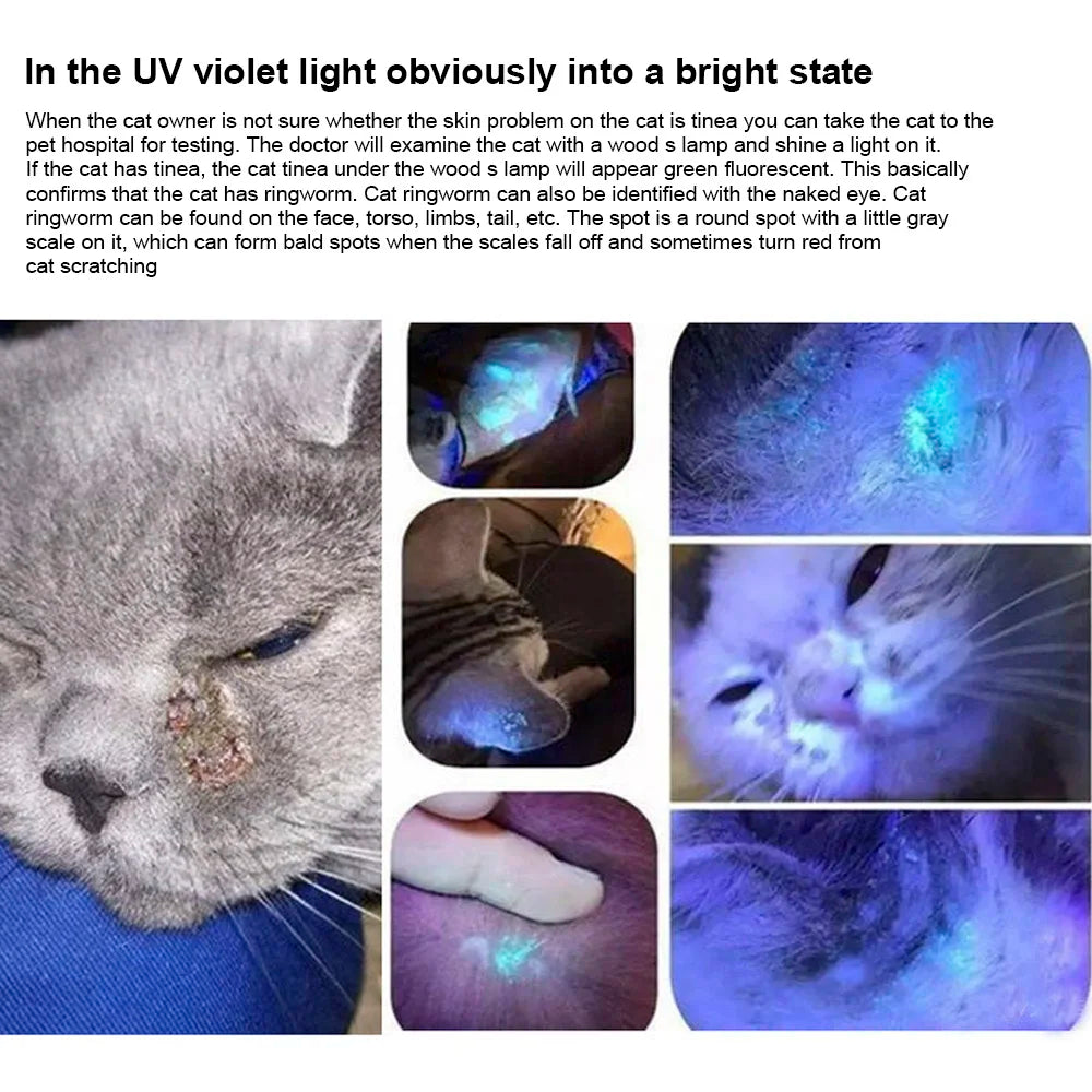 Skin Ultraviolet Light Cat Moss Tinea Light Pet Fungus Detection Wood's Lamp UV Flashlight 365 UV Black Mirror Waterproof