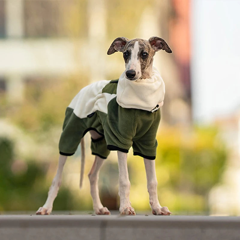 Winter Dog Jacket Italian Greyhound Whippet Vest Warm Dog Coat Wind-proof Polar Fleece High Collar Detachable Dog Clothes