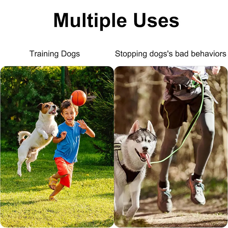 1/2Pcs Dog Whistle To Stop Barking, Adjustable Sound Pitch Dog Whistle With Keychain, Professional Recall Pet Puppy Cat Dog