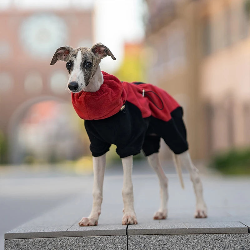 Winter Dog Jacket Italian Greyhound Whippet Vest Warm Dog Coat Wind-proof Polar Fleece High Collar Detachable Dog Clothes