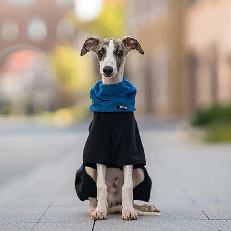 Winter Dog Jacket Italian Greyhound Whippet Vest Warm Dog Coat Wind-proof Polar Fleece High Collar Detachable Dog Clothes